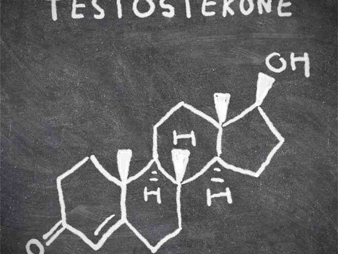 Best Testosterone Booster