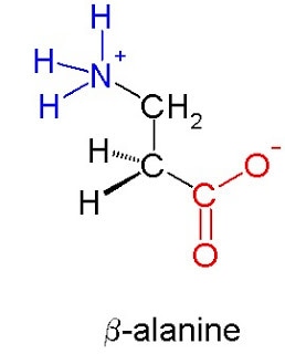 Beta-alanine+molecule