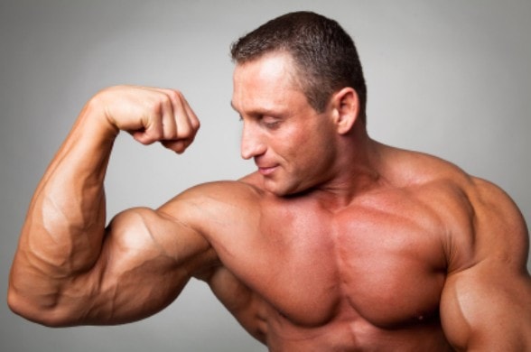 muscle building muscle building