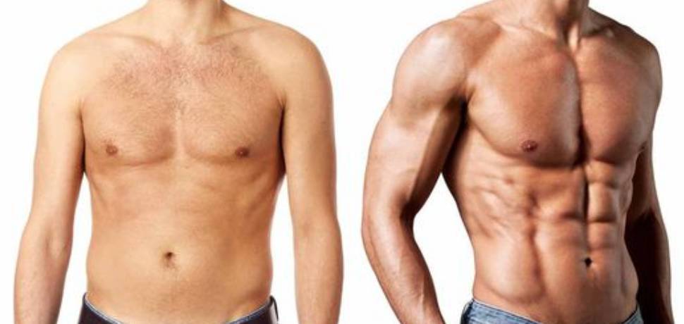 Best-Muscle-Building-Supplements Best Muscle Building Supplements