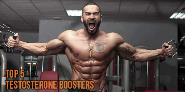 Testosterone Booster Reviews: comparison of 5 highly rated testosterone products