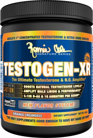 How TestoGen Helps