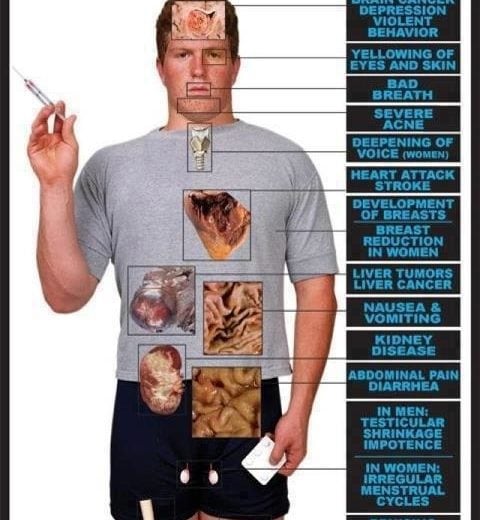 Steroid Alternatives for More Muscle Mass Steroid Alternatives for More Muscle Mass