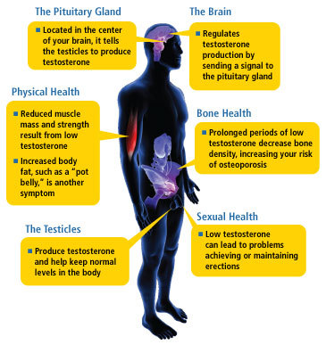 Can Low Testosterone Cause Depression?