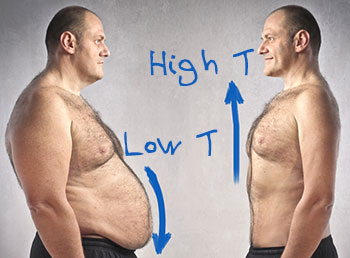 Does Testosterone Make You Lose Weight?