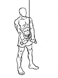 triceps-pushdown-with-rope-2