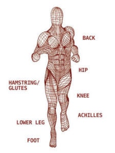 imap_injurychart